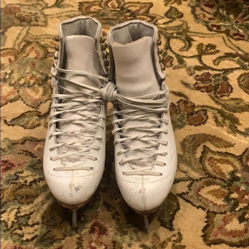 Used Jackson skates and ultima Protege blades